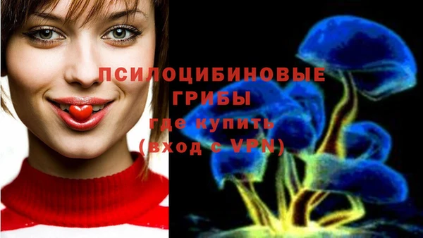 прущие грибы Алексеевка