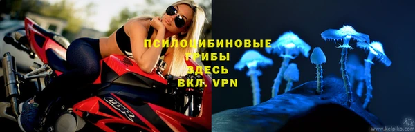 прущий лед Елабуга