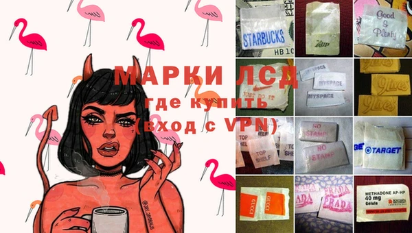 прущие грибы Алексеевка