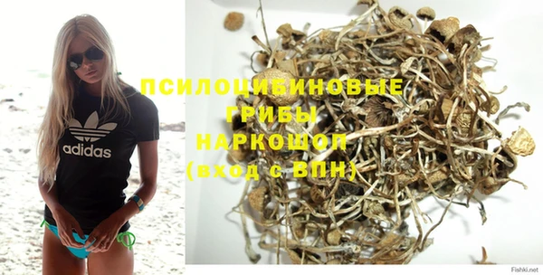 герыч Алексин