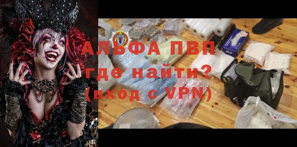 прущие грибы Алексеевка