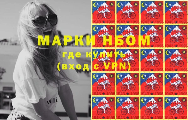 прущие грибы Алексеевка