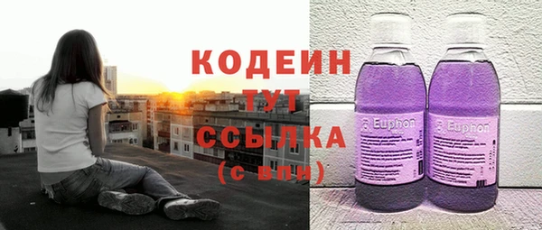 молекула духа Алзамай