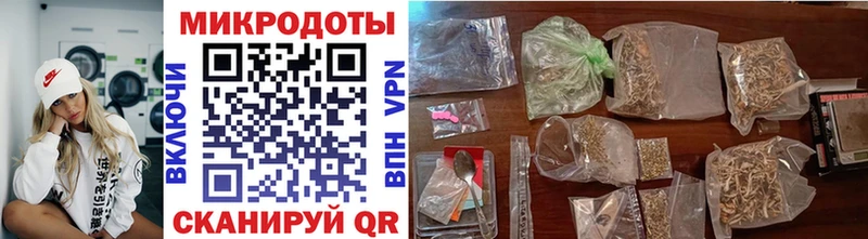 Галлюциногенные грибы Psilocybine cubensis  omg вход  Светлоград 