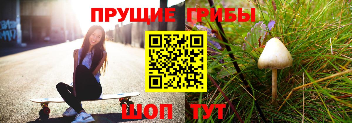 Светлоград  Галлюциногенные грибы Psilocybe  Вход с VPN 
