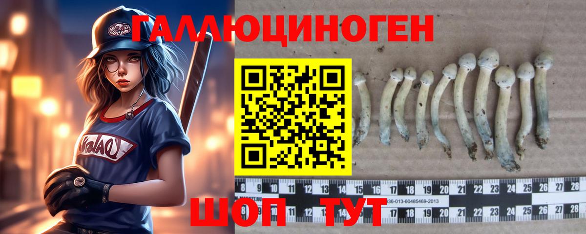 Псилоцибиновые грибы мухоморы Светлоград